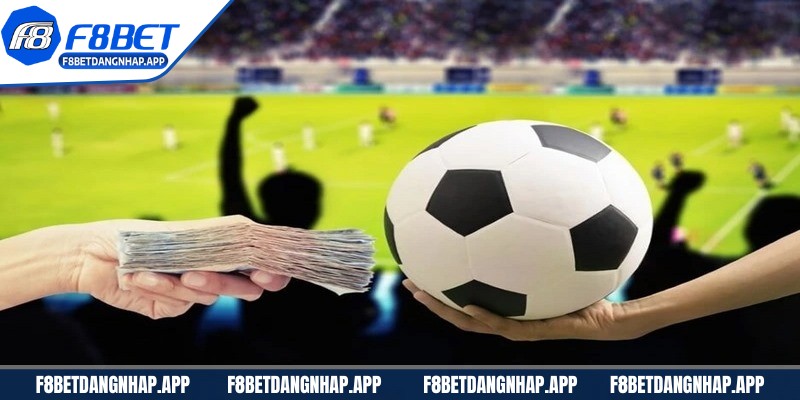 Cách đọc kèo rung cho người mới F8bet chuẩn xác nhất Cách đọc kèo rung cho người mới F8bet là nội dung quan trọng