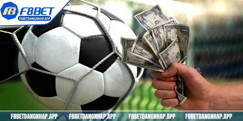 Khi tham gia kèo sớm và kèo trễ khác nhau gì F8bet? Tham gia kèo sớm và kèo trễ khác nhau gì F8bet là kiến thức phân biệt